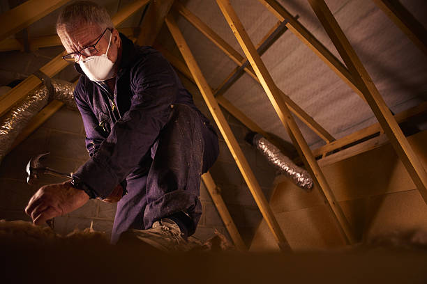 Best Home Insulation Services  in Fairview, NJ